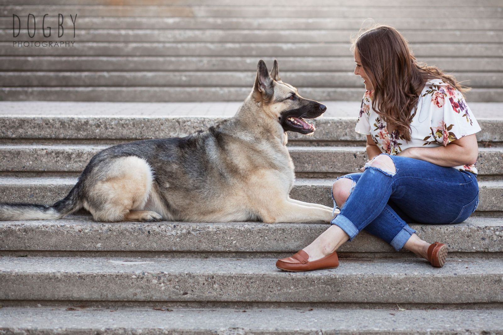 German Shepherd Dog sitting on stairs looking at a girl